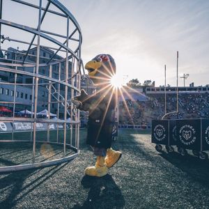 Image post by @mtlalouettes on Instagram
