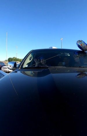 Video post by @guardthezia on Instagram