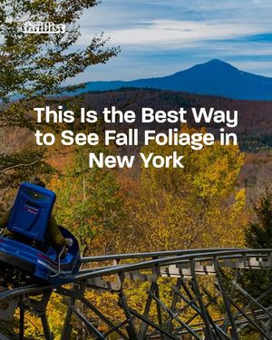 Image post by @thrillist on Instagram