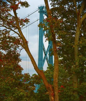 Image post by @amy.kennedy.photos on Instagram