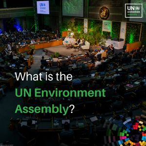 Image post by @unitednations on Instagram