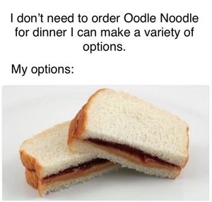 Image post by @oodle_noodle on Twitter