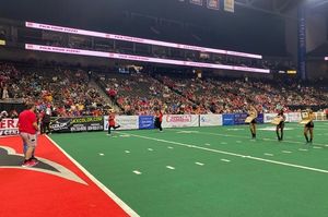 Image post by @jaxsharks on Instagram