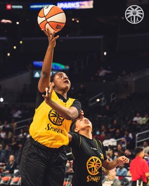 Image post by @la_sparks on Instagram