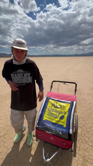 Video post by @alexslemonade on TikTok