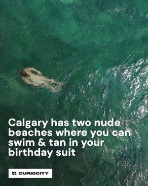 Image post by @curiocitycalgary on Instagram
