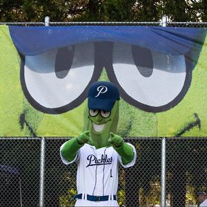 Image post by @picklesbaseball on Instagram