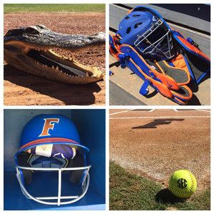 Image post by @gatorssb on Instagram