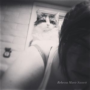 Image post by @rebeccamsphoto on Instagram