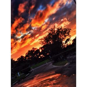 Image post by @trevorlasso on Instagram