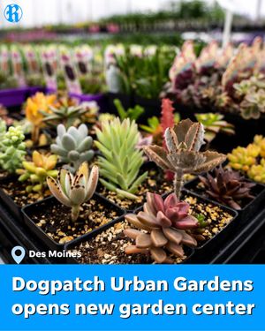 Image post by @dmregister on Instagram