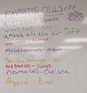 Image post by @vumcpathology on Instagram