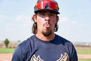 Image post by @owlznoco on Twitter