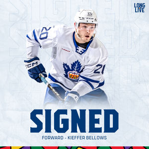 Image post by @torontomarlies on Instagram