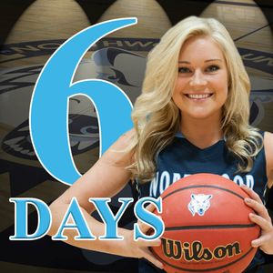Image post by @nutimberwolves on Instagram