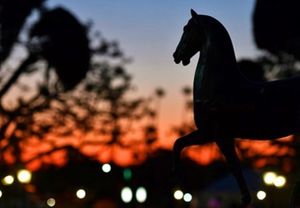Image post by @thebloodhorse on Instagram