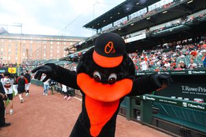 Image post by @OrioleBird on Twitter