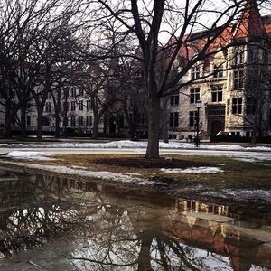 Image post by @uchicago on Instagram