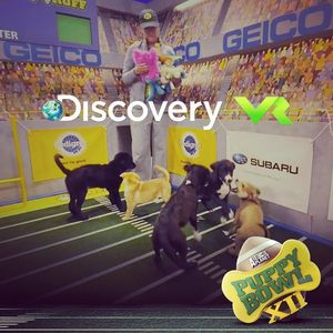 Image post by @animalplanet on Instagram