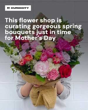 Image post by @curiocitycalgary on Instagram