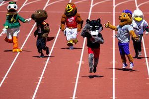 Image post by @dyestat on Instagram