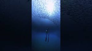 Video post by @gopro on YouTube