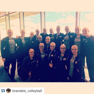 Image post by @brandeisjudges on Instagram