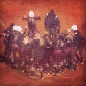 Image post by @siu_softball on Instagram