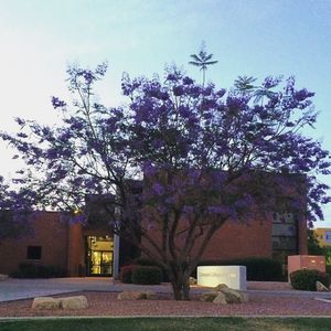Image post by @gcu on Instagram