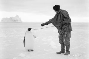 Image post by @gettyimages on Instagram