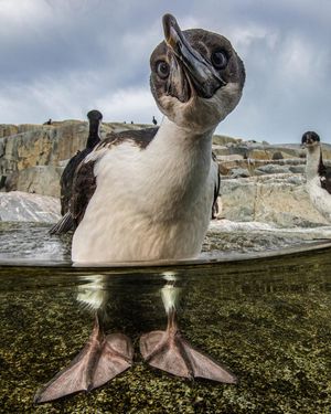 Image post by @natgeo on Instagram
