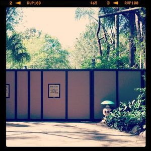 Image post by @thedisneyblog on Instagram