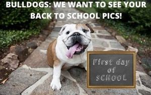 Image post by @smfschools on Instagram