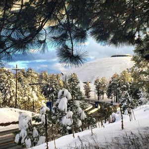 Image post by @nauflagstaff on Instagram