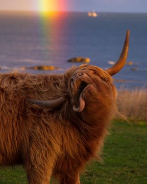 Image post by @visitscotland on Instagram