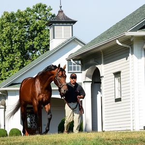 Image post by @spendthriftfarm on Instagram