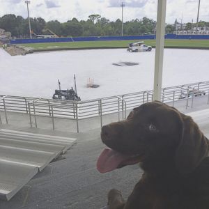 Image post by @rollins_baseball on Instagram