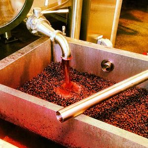 Image post by @liveinthevineyard on Instagram