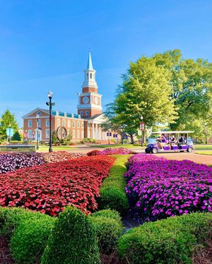 Image post by @highpointu on Instagram