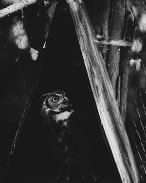 Image post by @davidgrayphoto on Instagram