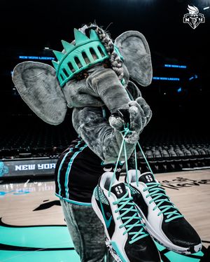 Image post by @nyliberty on Instagram