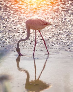 Image post by @discovery on Instagram
