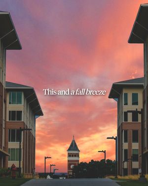 Image post by @clemsonuniversity on Instagram