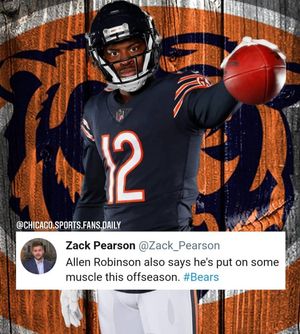 Image post by @chicago.sports.fans.daily on Instagram