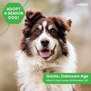 Image post by @yumove_usa on Instagram