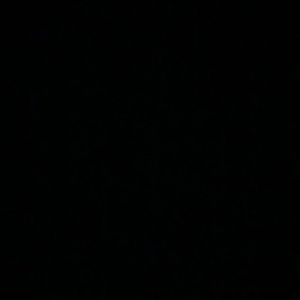 Image post by @plnusealions on Instagram