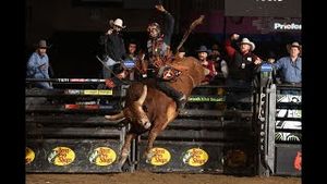 Video post by @pbr on YouTube