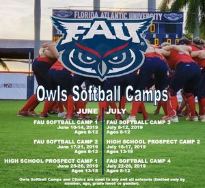 Image post by @fausoftball on Instagram