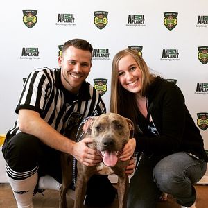 Image post by @animalplanet on Instagram