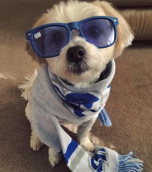 Image post by @setonhall on Instagram